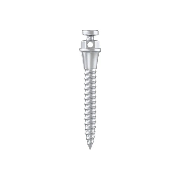Orthodontic TAD mini-screws in various diameters and lengths for skeletal anchorage.