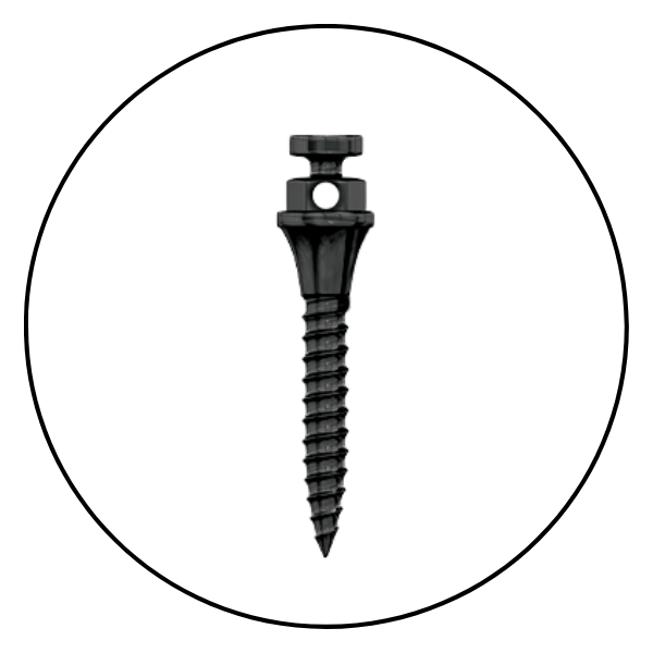 Absolute Anchorage - TAD Mini screw orthodontic implant