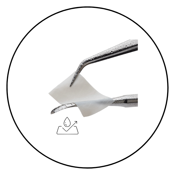 Resorbable collagen and non-resorbable PTFE membranes for guided bone regeneration.