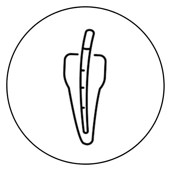 Gutta-percha and absorbent paper points for root canal obturation, in standard and Protaper-compatible sizes.
