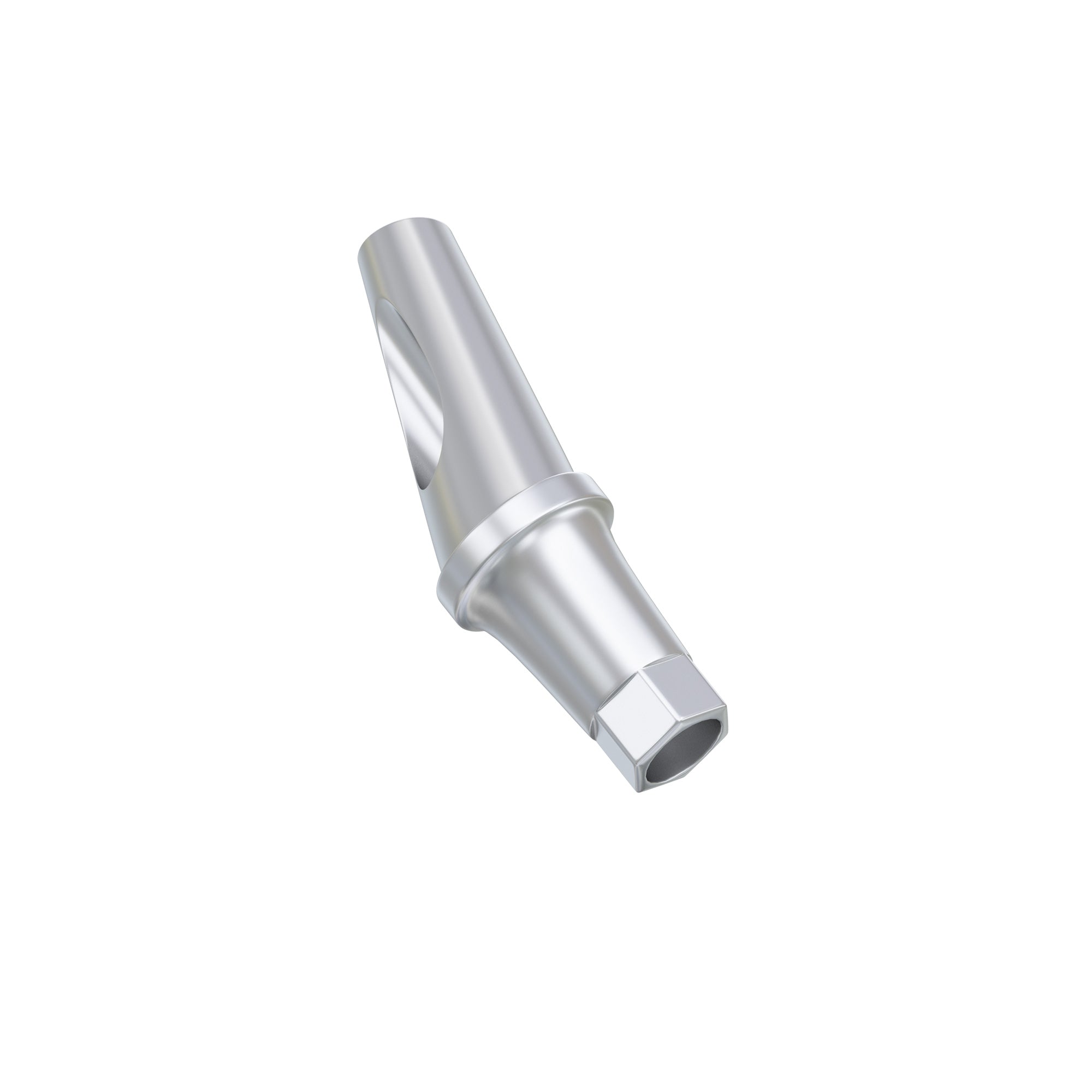 DIP Anatomic Angulated Abutment 17° Osstem® TS / Hiossen® ET Regular Platform