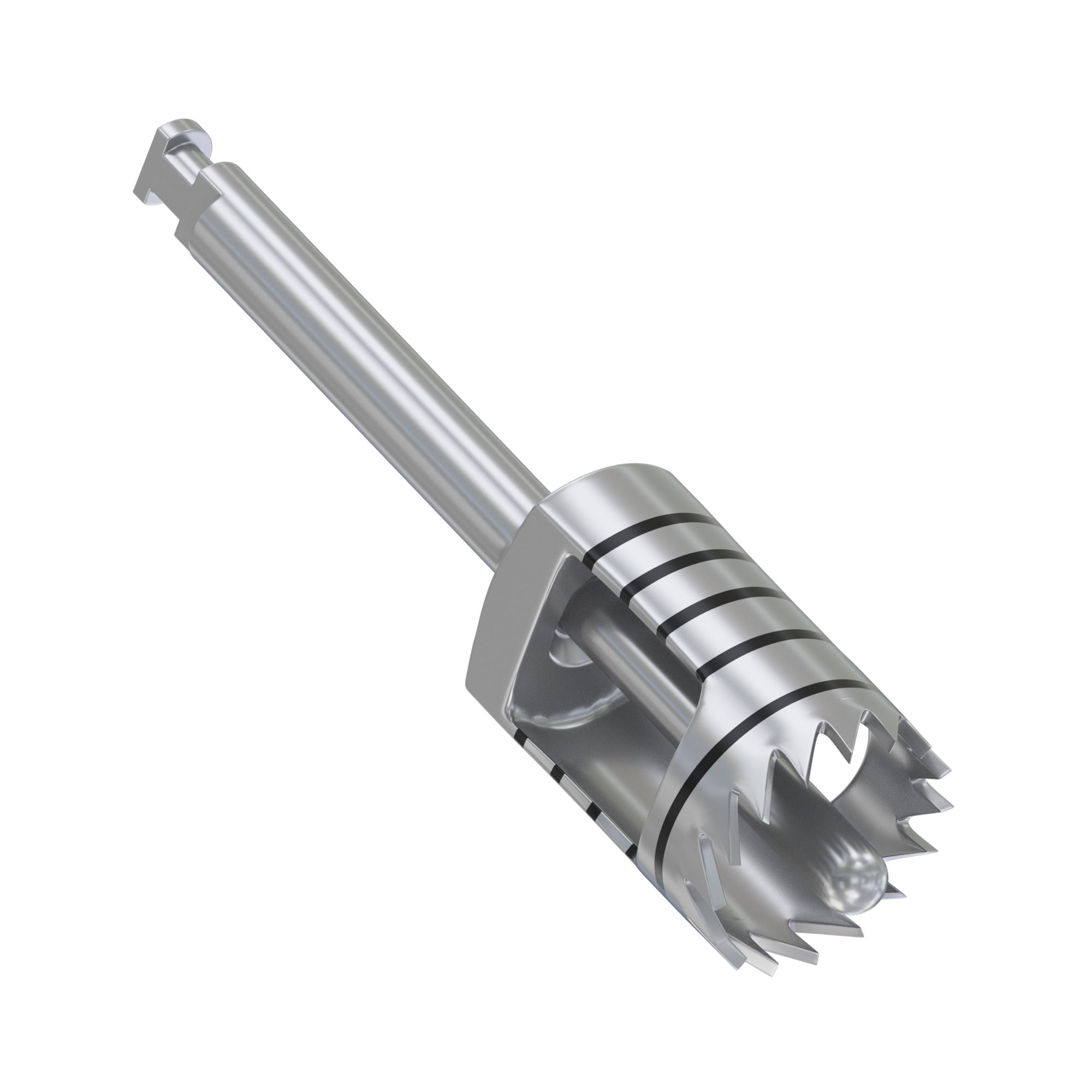 Zenoss Bone Ring Set - Bone Graft