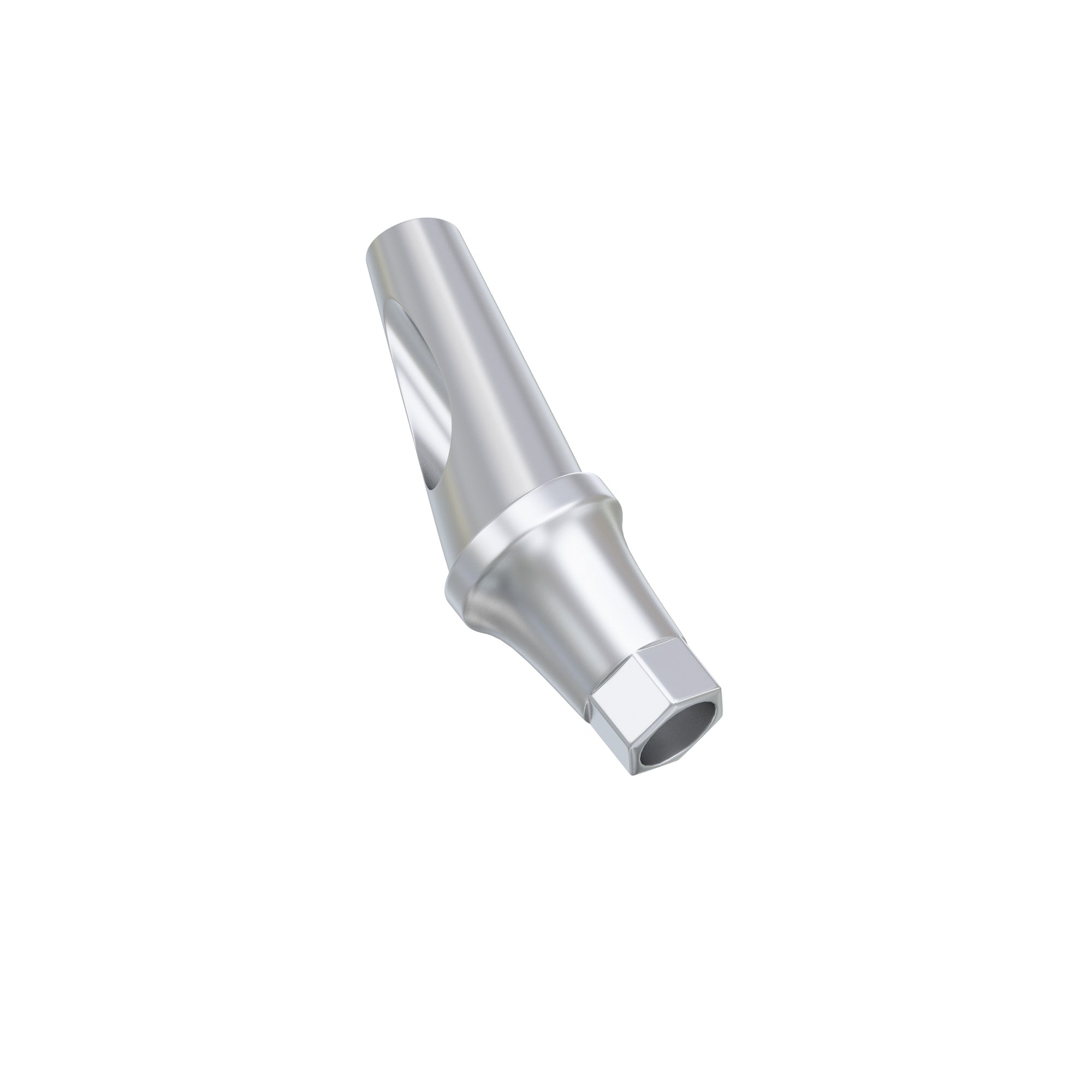 DIP Anatomic Angulated Abutment 17° Osstem® TS / Hiossen® ET Regular Platform