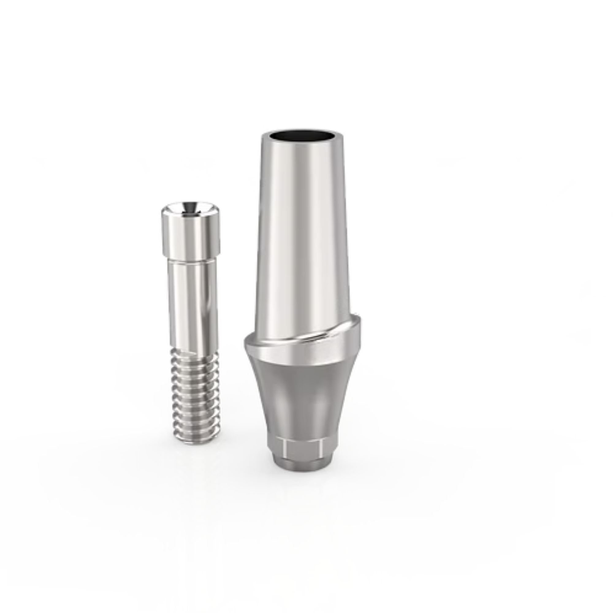 dental CAD CAM anatomic abutment implant system