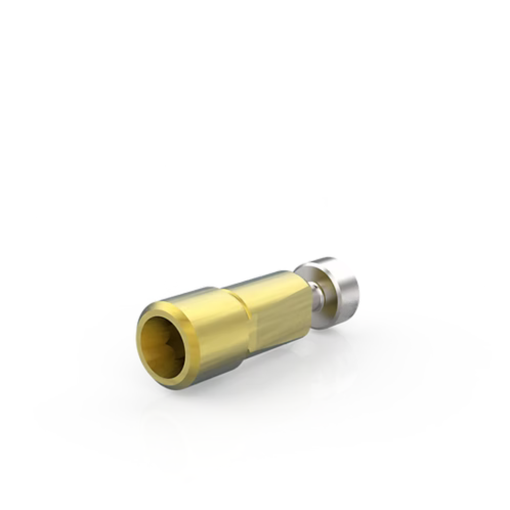 titanium Ti 6Al 4V dental lab analog implant model