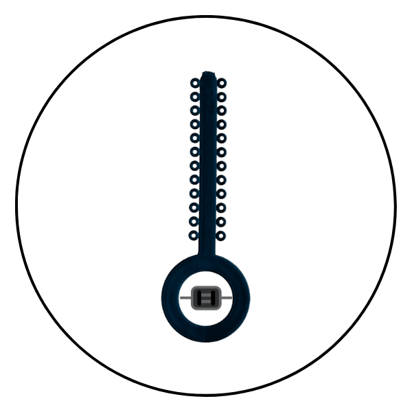 Ortho Elastics