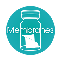 Resorbable Barrier Membranes