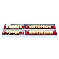 DIP Dental's artificial acrylic denture teeth, available in a large variety of shades and mold sets for natural-looking removable prosthetics.