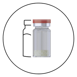 Xenograft Bone Graft