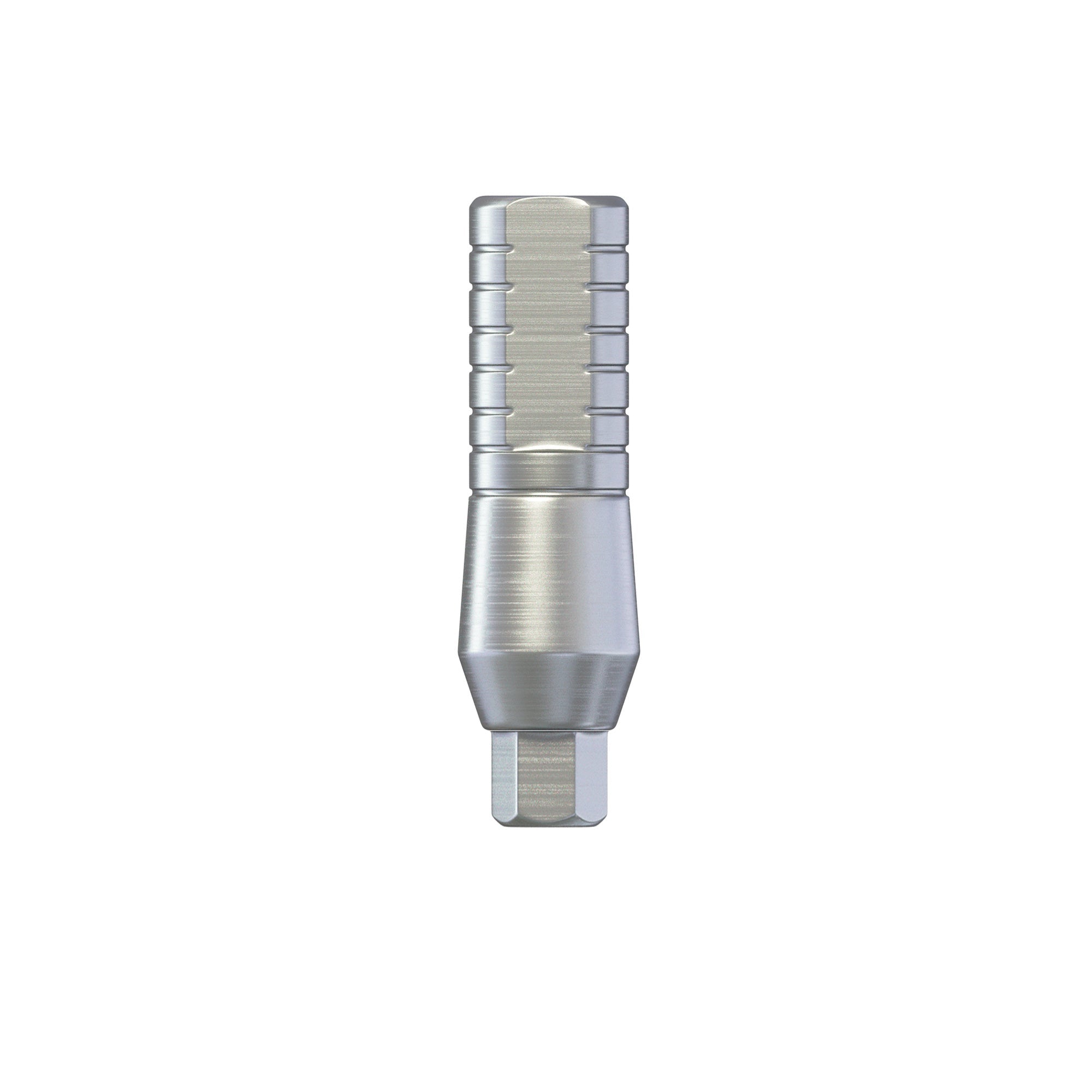 DIP Titanium Narrow Straight Abutment Ø3.0mm - Internal Hex Ø2.00mm