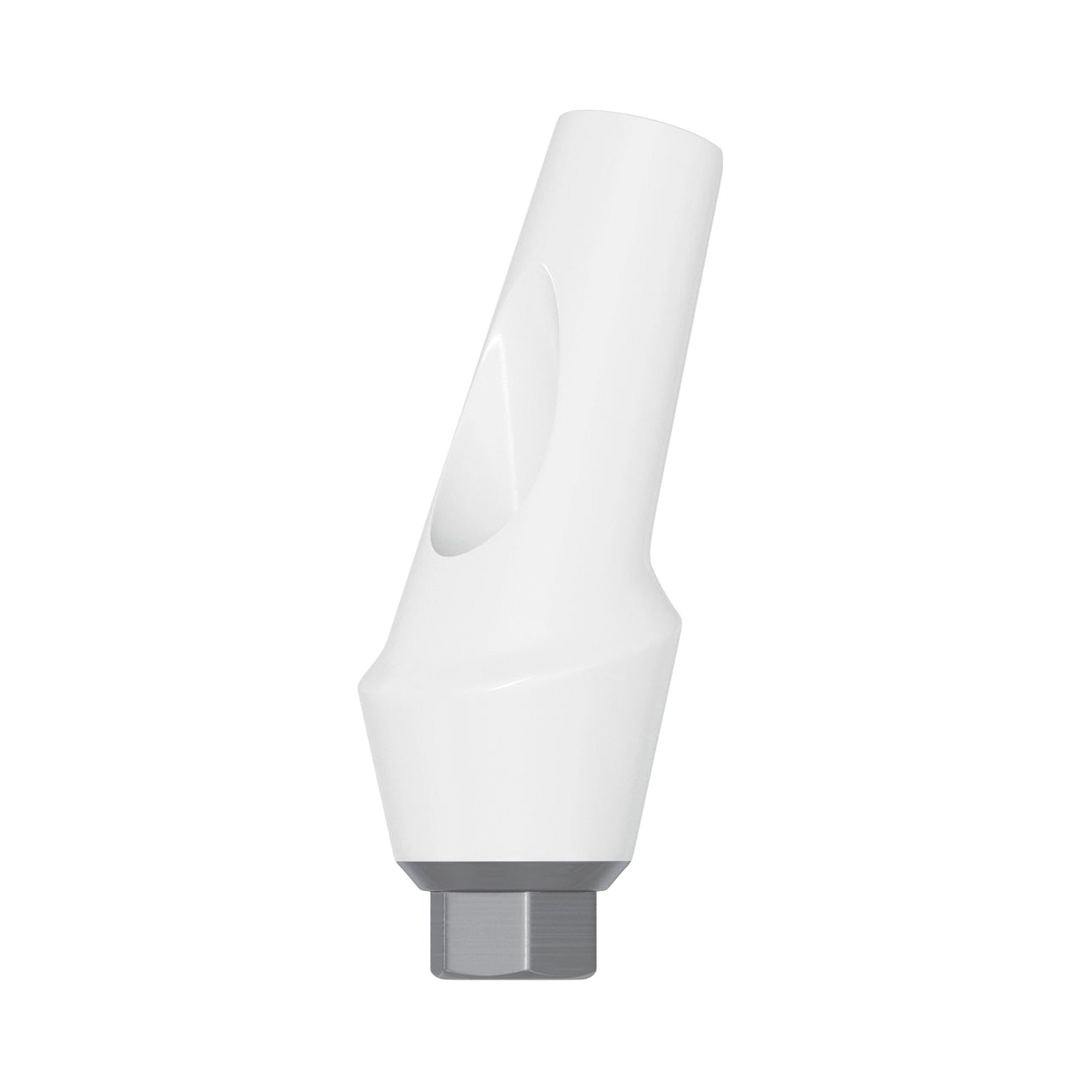 DSI Zirconia Anatomic Angulated 15° Abutment Ø4.8mm - Internal Hex Ø2.00mm