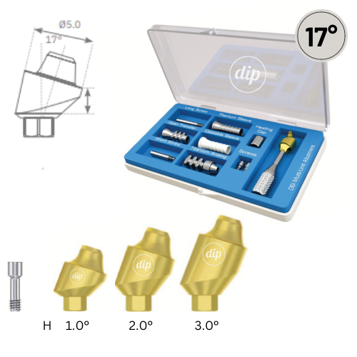 17° Multi-Unit Abutment M1.72 KIT for Internal Hex RP 3.5