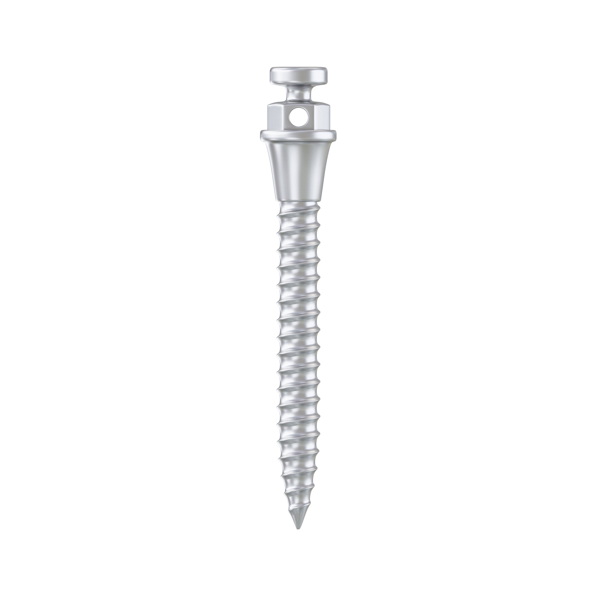 DIP TAD Miniscrew Orthodontic Titanium Implant Ø2.0mm T/M 2.0mm