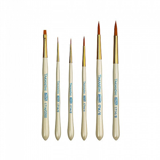 Set of 6 Renfert Takanishi Synthetic Bristle Brushes
