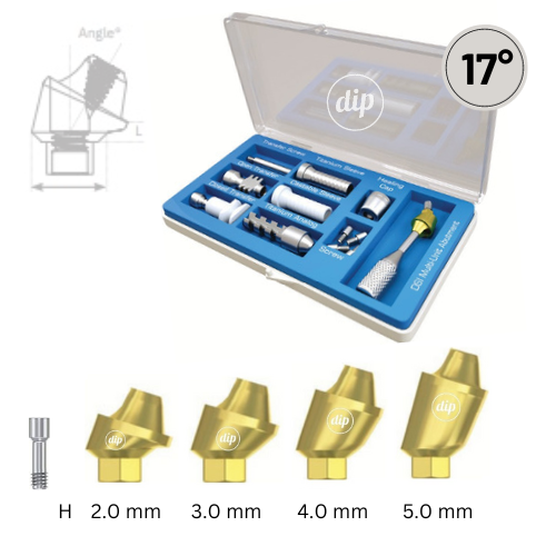 17° Angled Classic Multi-Unit Abutment KIT M1.4 for Internal Hex RP 3.5