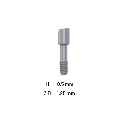 Screw for abutment Platform NP