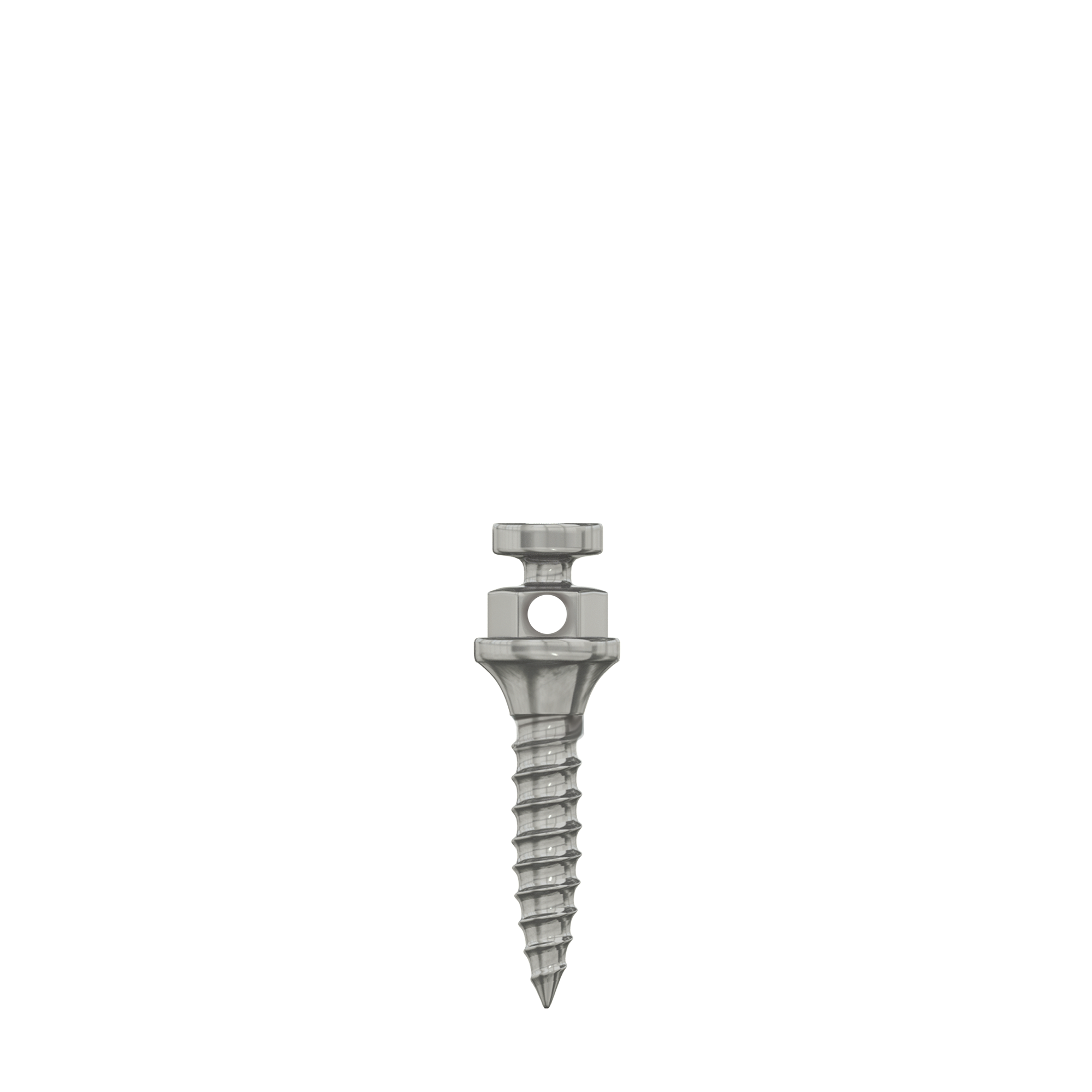 DIP TAD Miniscrew Orthodontic Implant Titanium Standard Ø1.5mm