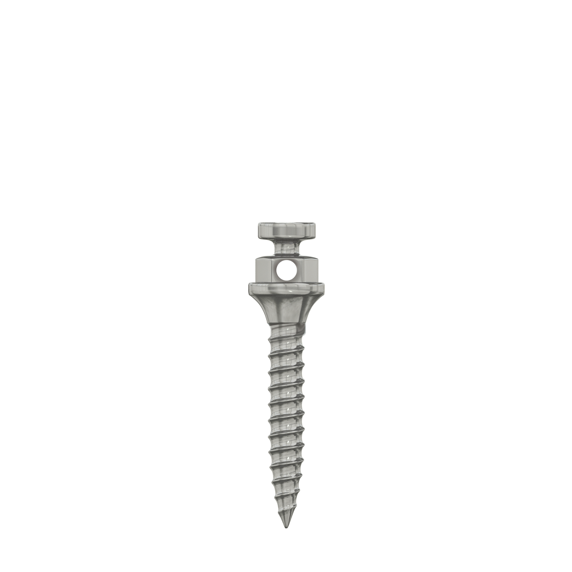 DIP TAD Miniscrew Orthodontic Implant Titanium Standard Ø1.5mm