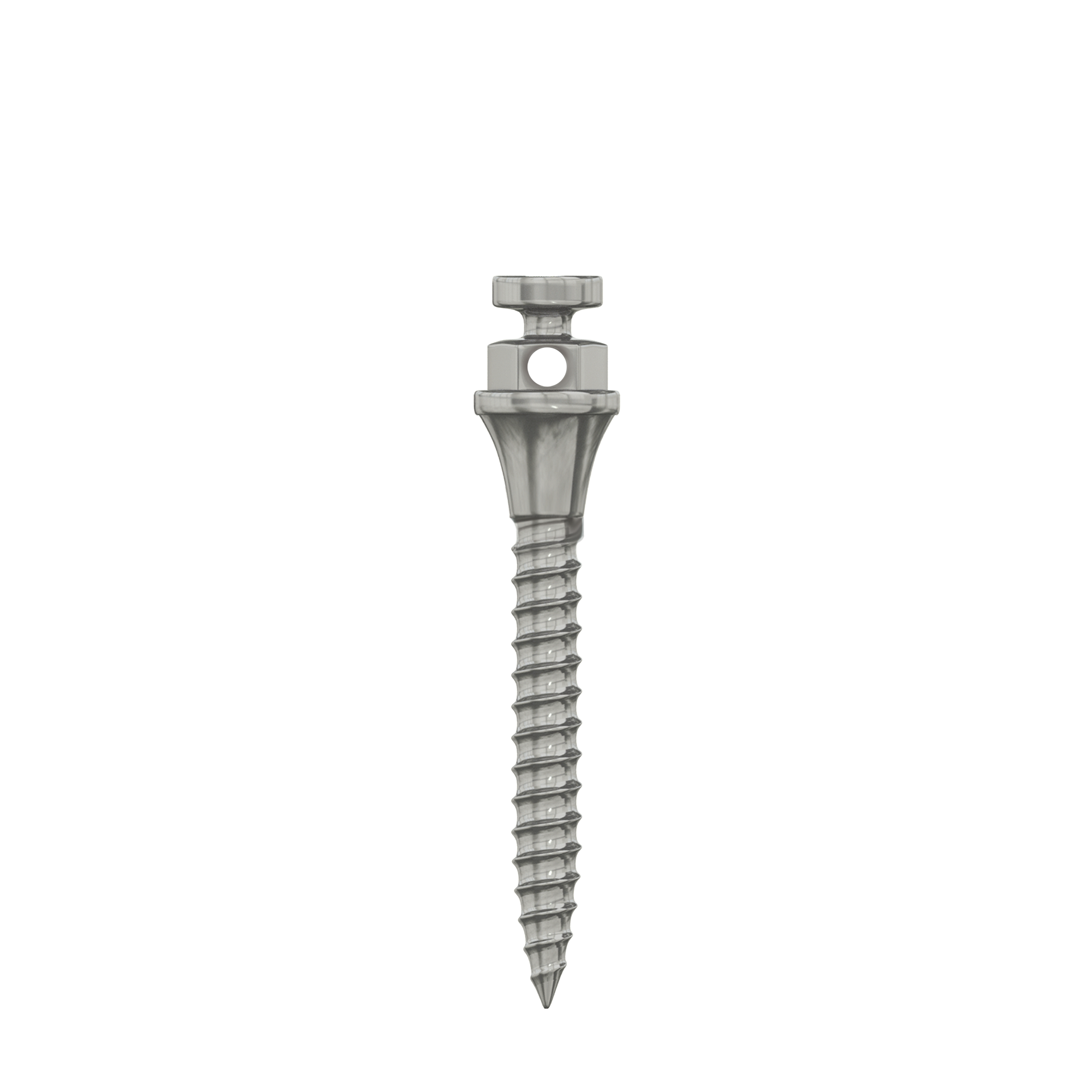 DIP TAD Miniscrew Orthodontic Implant Titanium Standard Ø1.5mm