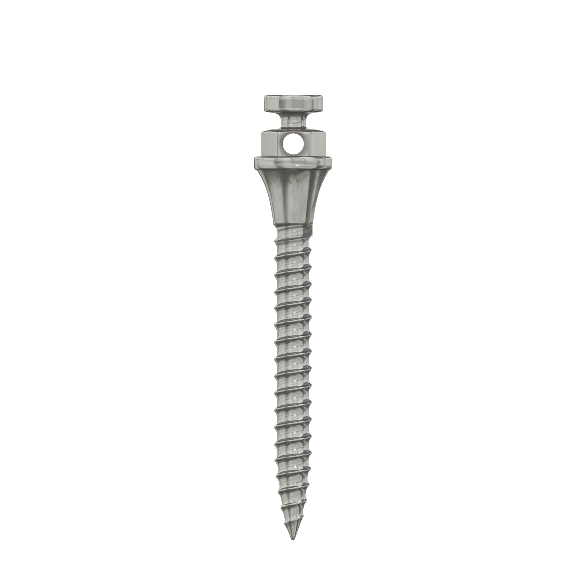 DIP TAD Miniscrew Orthodontic Implant Titanium Standard Ø1.5mm