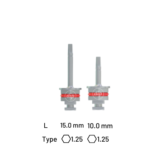 Torx Screwdriver for Ratchet