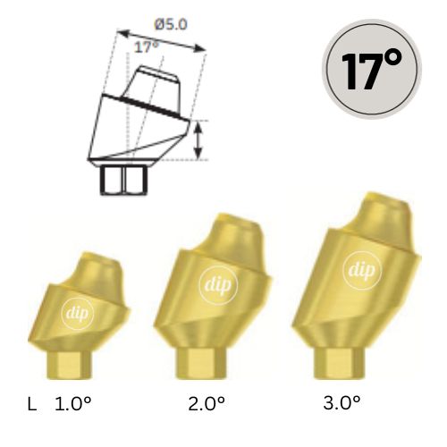 17° Multi-Unit Abutment M1.72 Basic KIT for Internal Hex RP 3.5