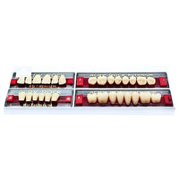 Ruthinium Artificial Acrylic Teeth 28pcs Set C3