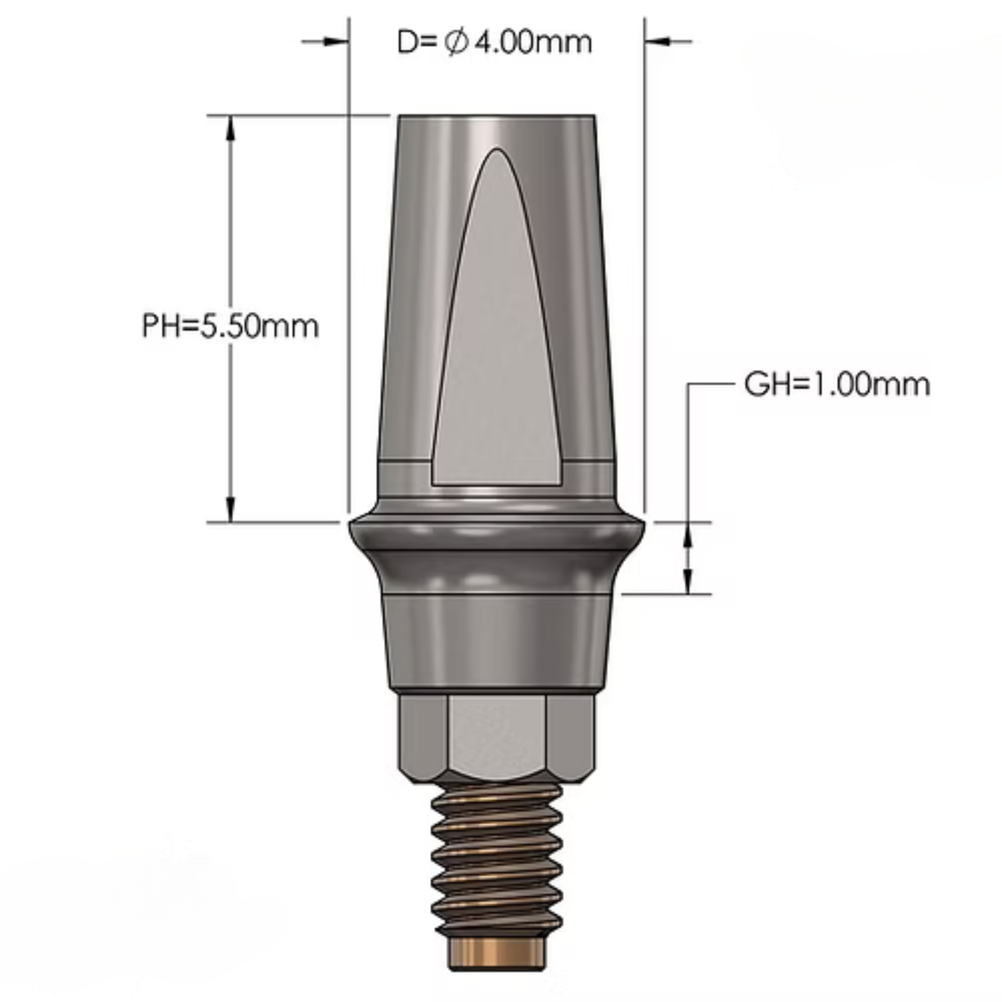 Straight Shoulder Abutment H=1mm Compatible with MegaGen AnyRidge®_3
