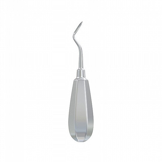 Root Elevator Flohr Teeth Extraction