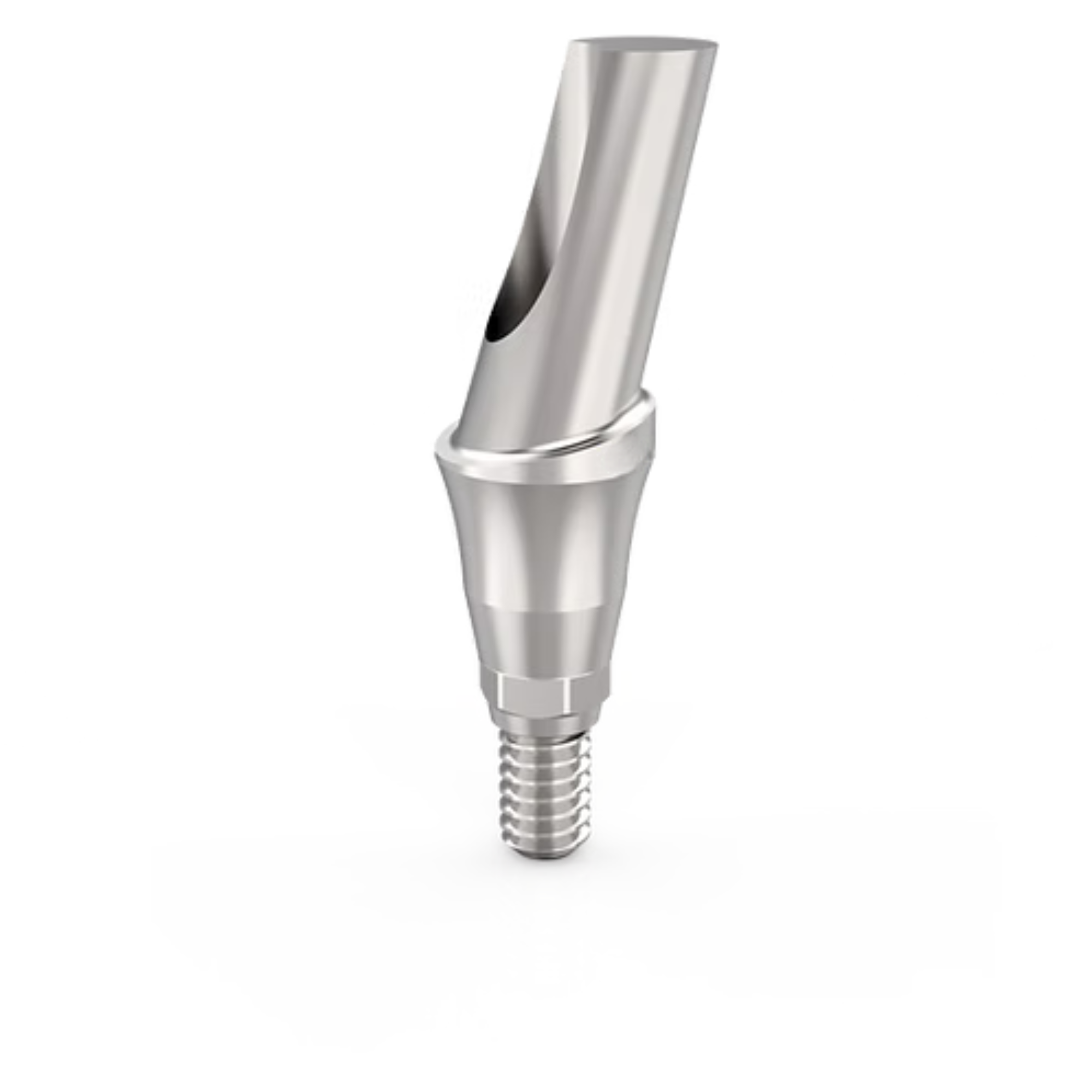 dental CAD CAM angled abutment implant system